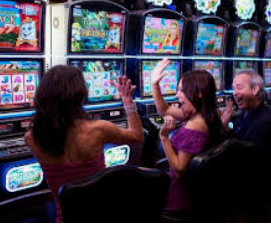 鲸鱼体育手机版