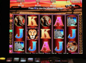 鲸鱼体育免费版